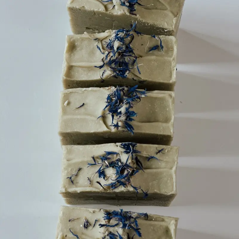 Untitled design (4).webp